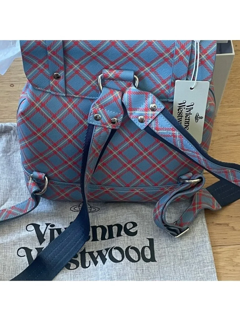 Vivienne Westwood Blue and Pink Men's Backpack
